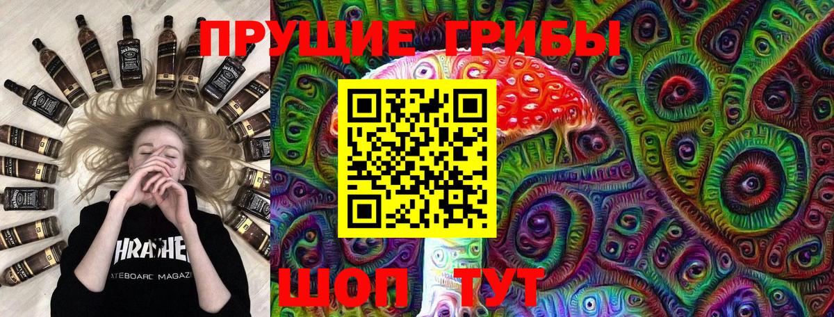 Псилоцибиновые грибы MAGIC MUSHROOMS  Вход с VPN  Псилоцибиновые грибы MAGIC MUSHROOMS  Североуральск 